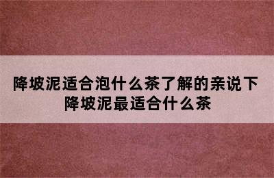 降坡泥适合泡什么茶了解的亲说下 降坡泥最适合什么茶